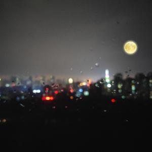 欧美亚洲一区综合精品
